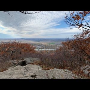 Meet your Posher, Alexia